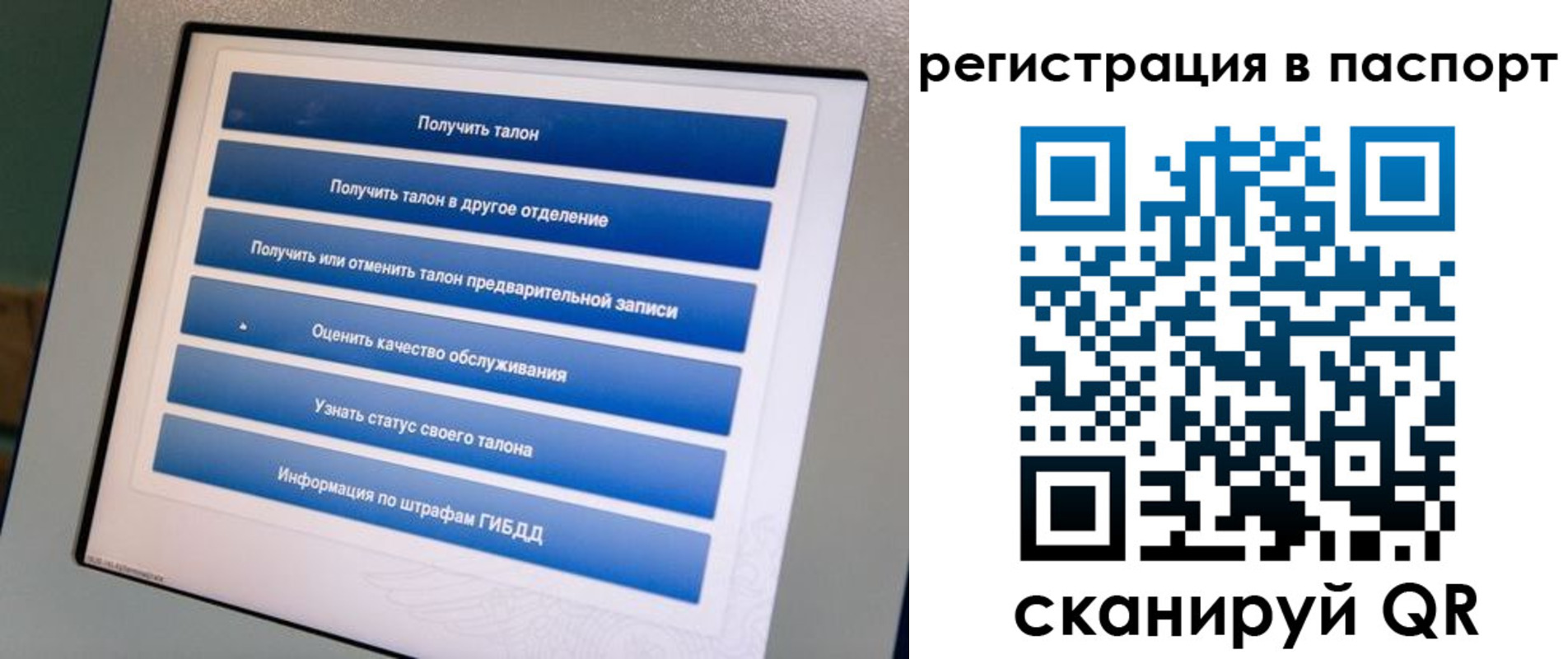 временная регистрация адрес в Балтийске